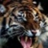 Https-graph-facebook-com-100004015734102-picture