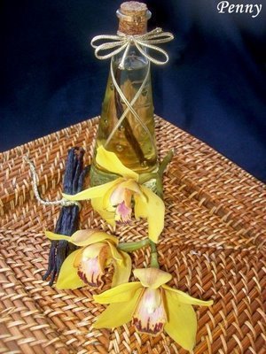 ACEITE VAINILLA di Cati Ballesta - Recipefy