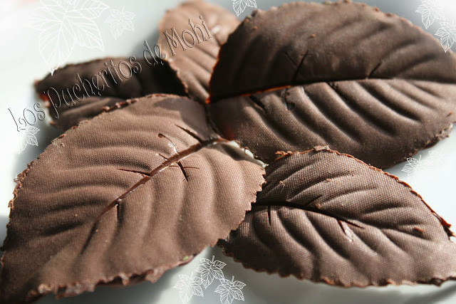 HOJAS DE CHOCOLATE de Miguel Angel Maldonado Gonzalez - Recipefy