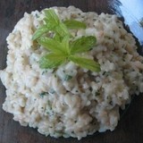 Risotto-menta-jpg