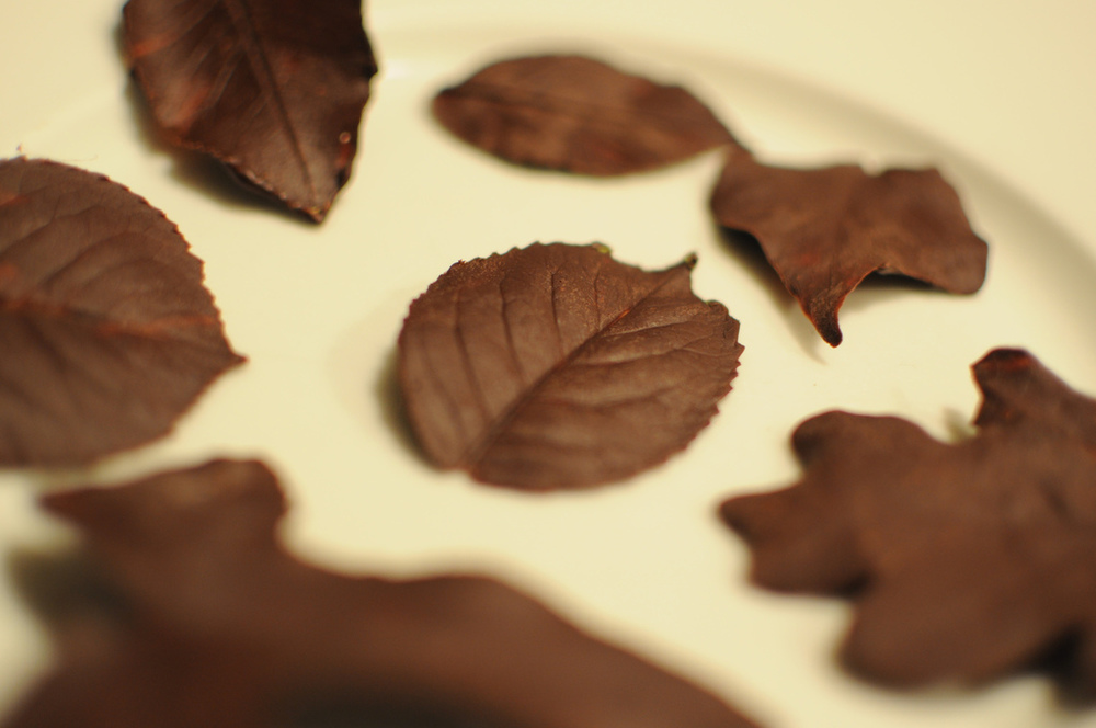 HOJAS DE CHOCOLATE of Dexter Jay Stevens - Recipefy