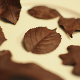 Http-farm6-staticflickr-com-5169-5306749609_6e4ff376cf_o-jpg