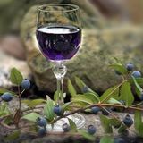 Ricetta-mirto-liquore-jpg