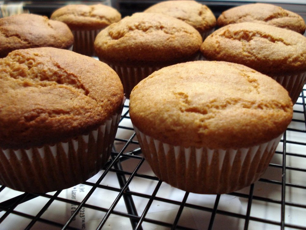 Gluten-Free Vanilla Cupcakes of Liz Tymus - Recipefy