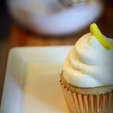 7304163315_piceezi7z-jpg%7d