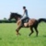 Https-graph-facebook-com-100001148497477-picture