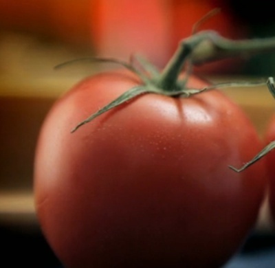 Fabio Viviani 's Tomato Sauce de katia - Recipefy