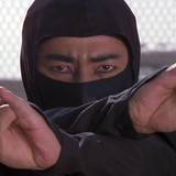 263035-ninjas-revenge-of-the-ninja-screenshot-jpg