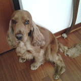 20130414_093450-jpg