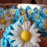 899131240_cupcakes-jpg%7d