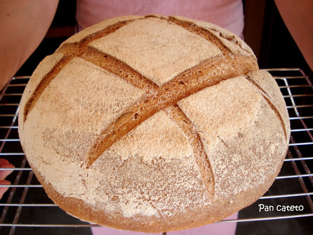 Pan cateto. "para 500 gramos de pan". di Jesus Molina - Recipefy