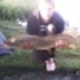 Https-graph-facebook-com-100002567936871-picture
