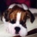 Https-graph-facebook-com-100001990554752-picture