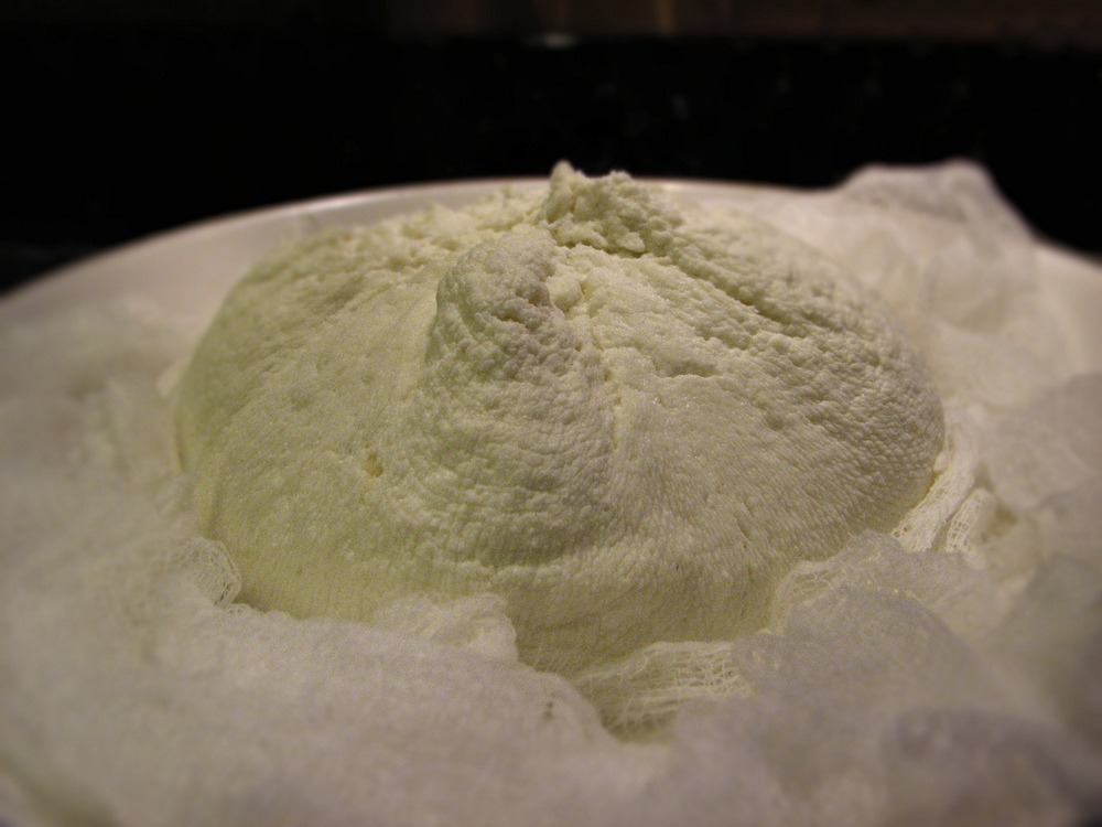 CREMA DE QUESO of monica - Recipefy