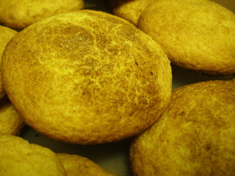 Best Rolled Sugar Cookies of Blake Schewe - Recipefy