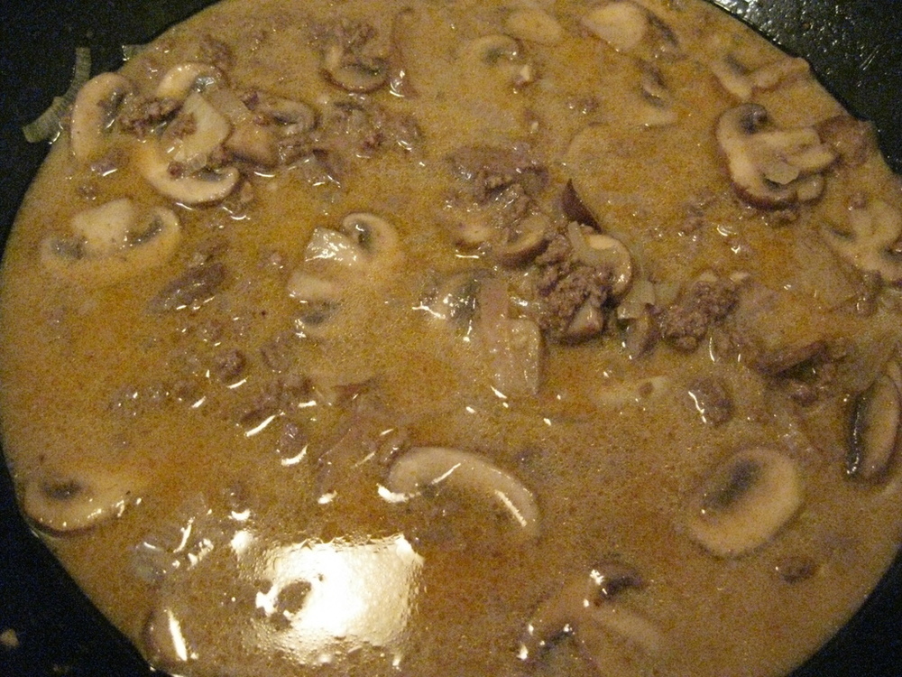 Hamburger Stroganoff of Blake Schewe - Recipefy