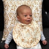 Http-photos1-blogger-com-blogger-1163-1135-1600-un_kosher4pesach-jpg_9093311