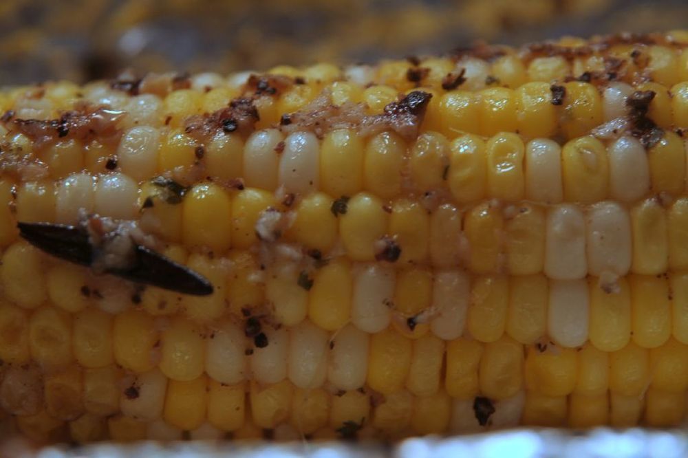 Roasted Sweet Corn (Oven) of Jenn Carter - Recipefy