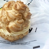 3238797219_http-upload-wikimedia-org-wikipedia-commons-4-48-cream_puff_spivack-jpg%7d