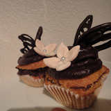 Http-farm8-staticflickr-com-7060-6942329647_ba3bc022bd_z-jpg