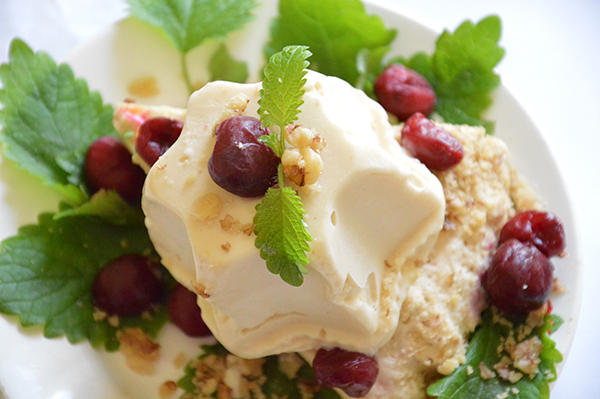 Homemade ice cream di Marina Peskova - Recipefy
