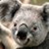 Https-graph-facebook-com-100003063288747-picture