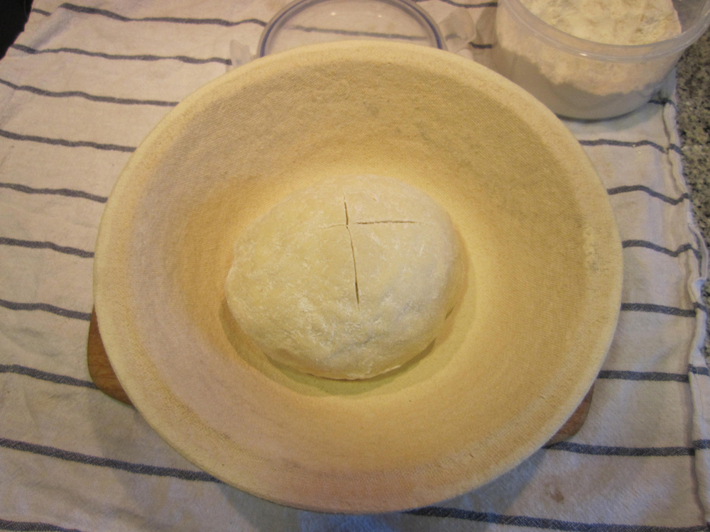 Masa para pizza of Mónica Sánchez - Recipefy