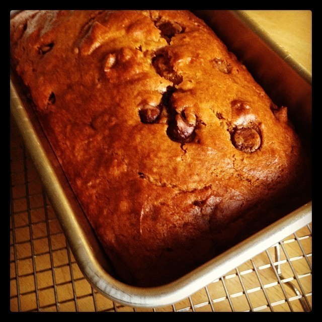Chocolate Chip Pumpkin Bread de Sara Meyer - Recipefy