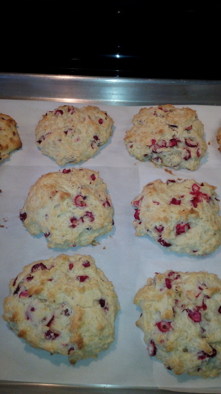 Fresh Cranberry Scones of Elaine Crawford Daguanno - Recipefy