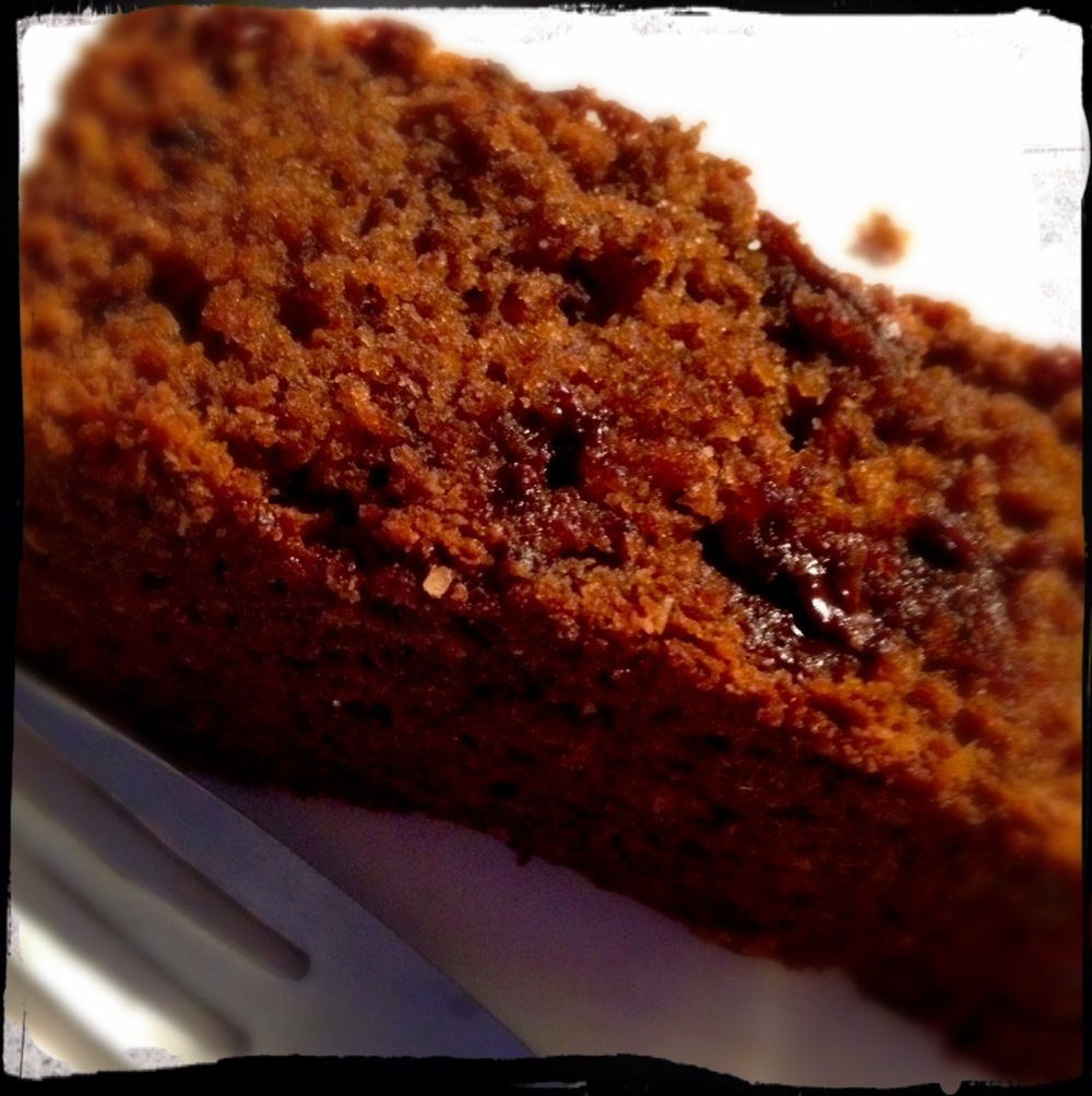 Chocolate Coconut Banana Bread (Gluten & Dairy Free, High Protein) de Kathleen Sandusky - Recipefy