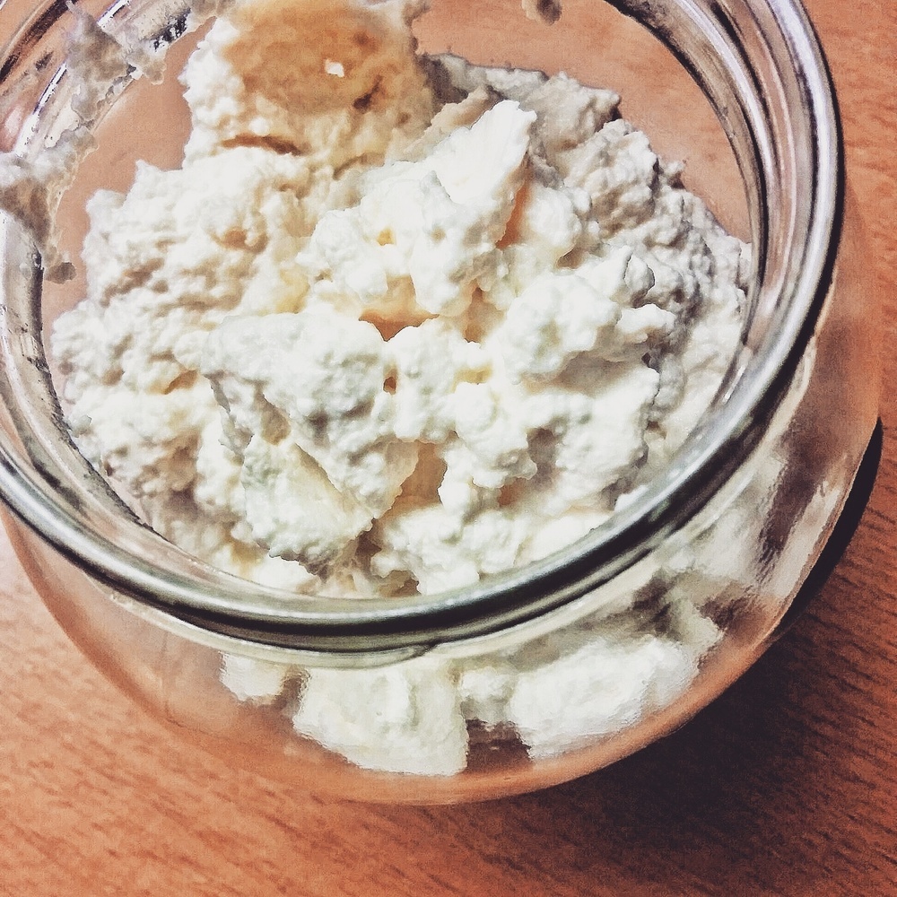 Rich homemade ricotta de urshy - Recipefy