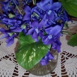 Img_20150321_070210