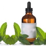 Spearmint-oil-500x500