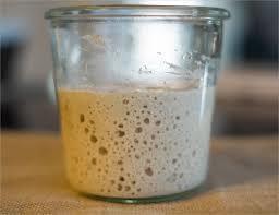 Sourdough starter of belle1538 - Recipefy