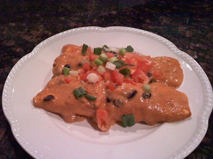 Chicken and Cheese Enchiladas of Karyn Johnson - Recipefy
