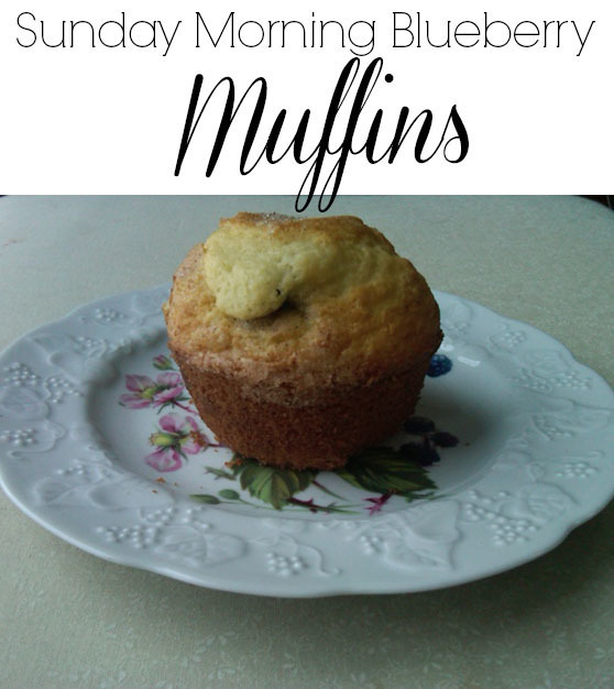Sunday Morning Blueberry Muffins de Courtney Glantz - Recipefy