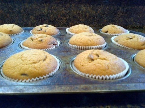 Pumpkin Chocolate Chip Muffins de Courtney Glantz - Recipefy