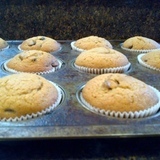 Pumpkin%20chocolate%20chip%20muffins