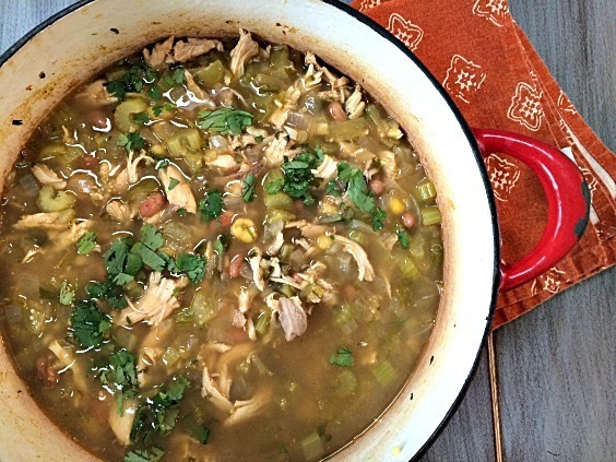 Turkey Tomatillo Soup of Courtney Glantz - Recipefy