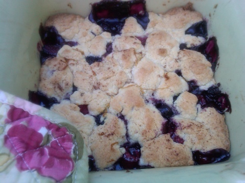 Mixed Berry Cobbler of Courtney Glantz - Recipefy