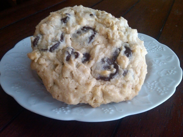 'Compromise' Cookies of Courtney Glantz - Recipefy