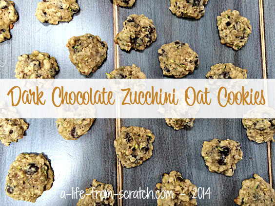 Dark Chocolate Zucchini Oat Cookies of Courtney Glantz - Recipefy