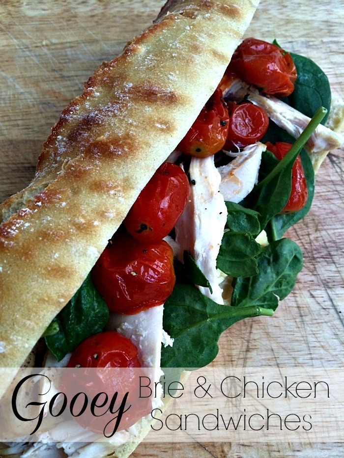 Gooey Brie and Chicken Sandwiches of Courtney Glantz - Recipefy