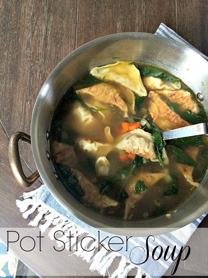 Pot Sticker Soup de Courtney Glantz - Recipefy