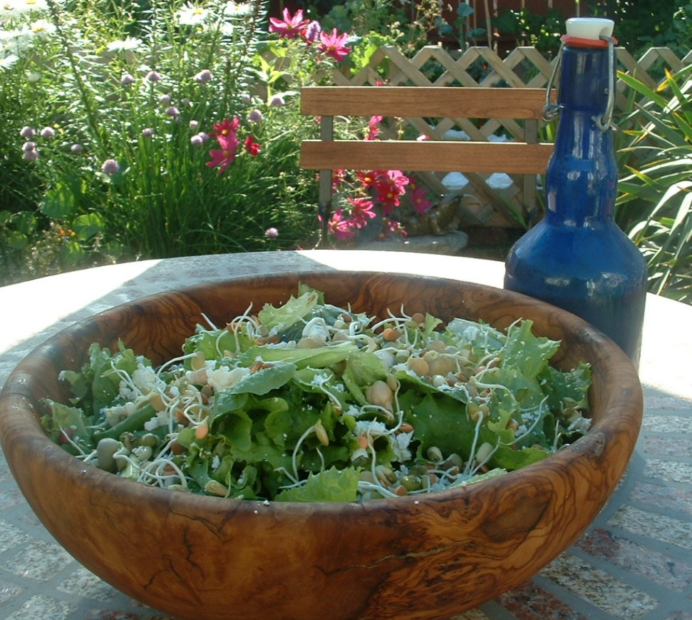 Tracy's Hollyhock salad dressing of Allison Kneubuhl - Recipefy