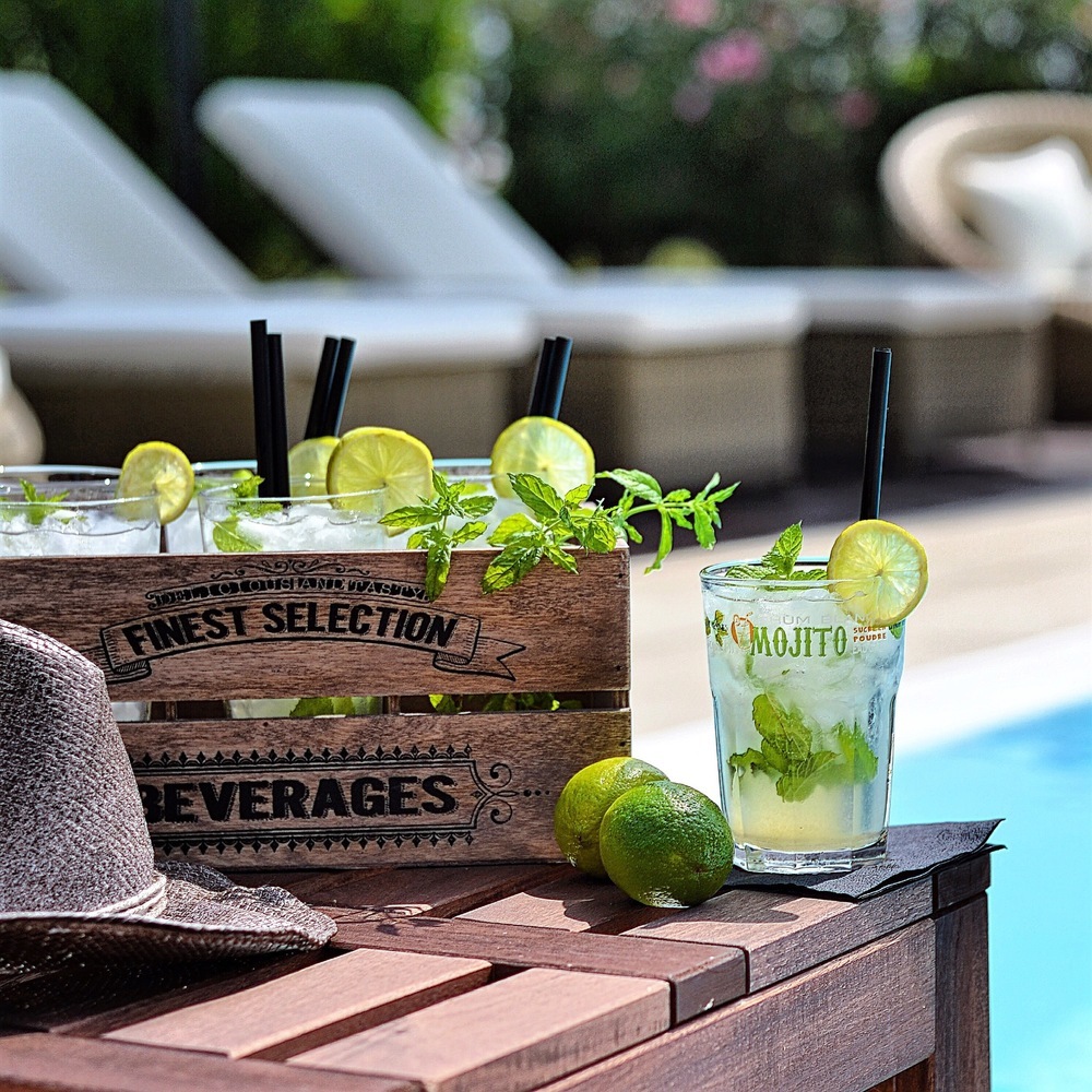 Mojito de Eleonora Michielan - Recipefy