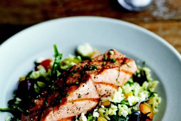 Grilled Salmon with Orzo, Feta and Red Wine Vinaigrette of Kelly Barton - Recipefy