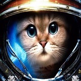 Starcraft_cute_cat