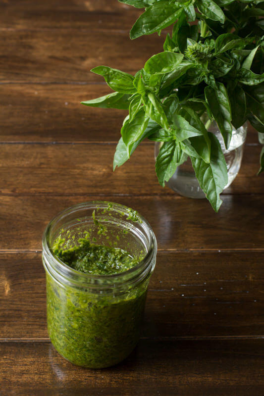 Pesto Recipe of Sara Meyer - Recipefy