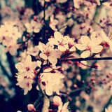 92d4e729ad28d44f01ec9ea3ee3abc7a